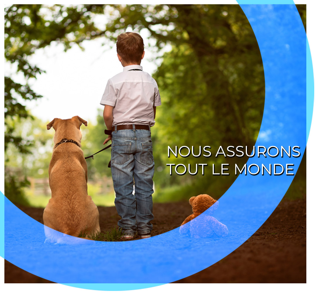 assertis assure tout le monde